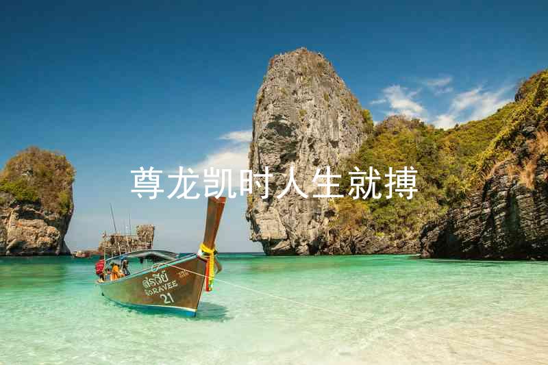尊龙凯时人生就搏