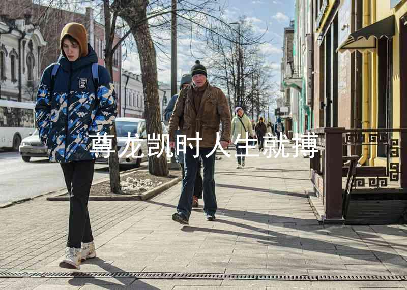 尊龙凯时人生就搏