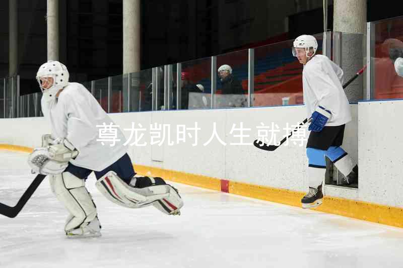 尊龙凯时人生就搏