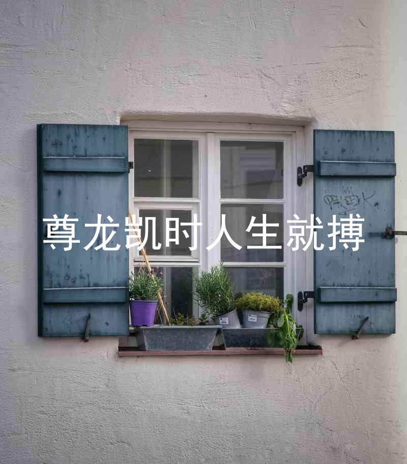 尊龙凯时人生就搏