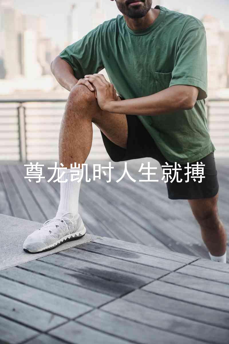 尊龙凯时人生就搏