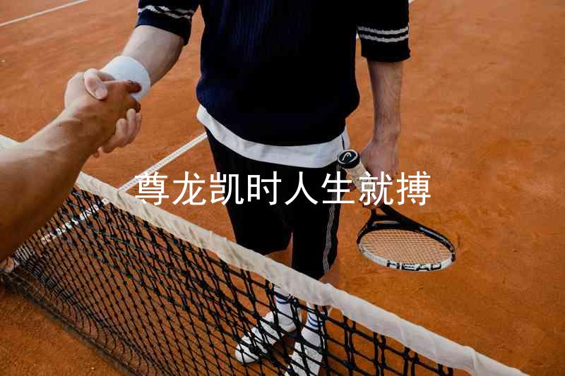 尊龙凯时人生就搏