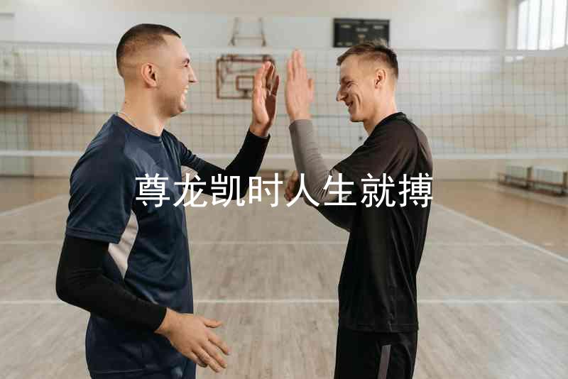 尊龙凯时人生就搏